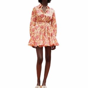 Zara Printed Shirt Dress